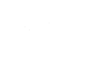 DIGGEN! & RASTA KNAST