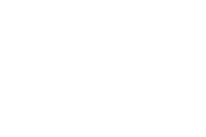 Lion’s Law