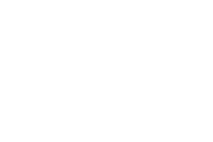 THE BABOON SHOW 02