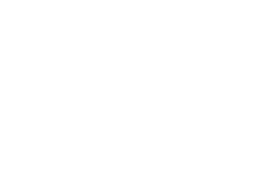 BERLINER WEISSE 02