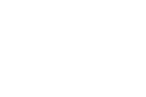 LIONS LAW 02