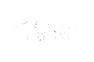 NO TURNING BACK 02