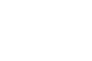 RISK 02