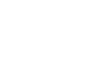 THE SPARTANICS 02