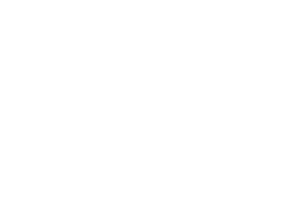 THE BOIS 02