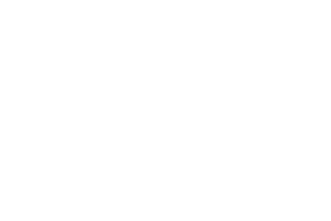 COCK SPARRER