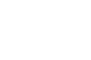 JUDGE