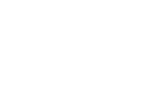 THE CASUALTIES