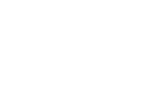 THE EXPLOITED