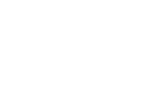 THE ADICTS