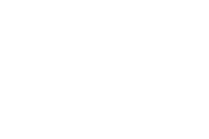 THE PILLEMANNS